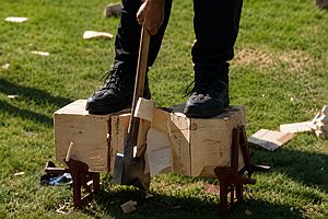 Knowledge & Techniques